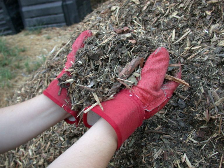 Mulch Cobertura Morta Entre Plantas 6059